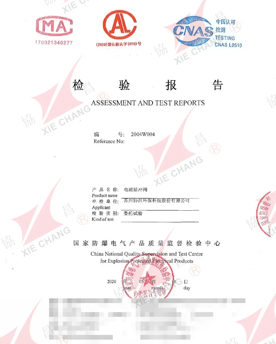 IP65 Ingress Protection Test Report — DCF-00 Solenoid Pulse Valve (CQST, 2020)