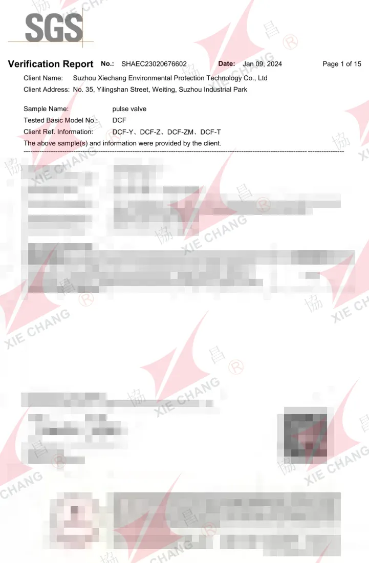 China RoHS Verification Report — DCF Solenoid Pulse Valves