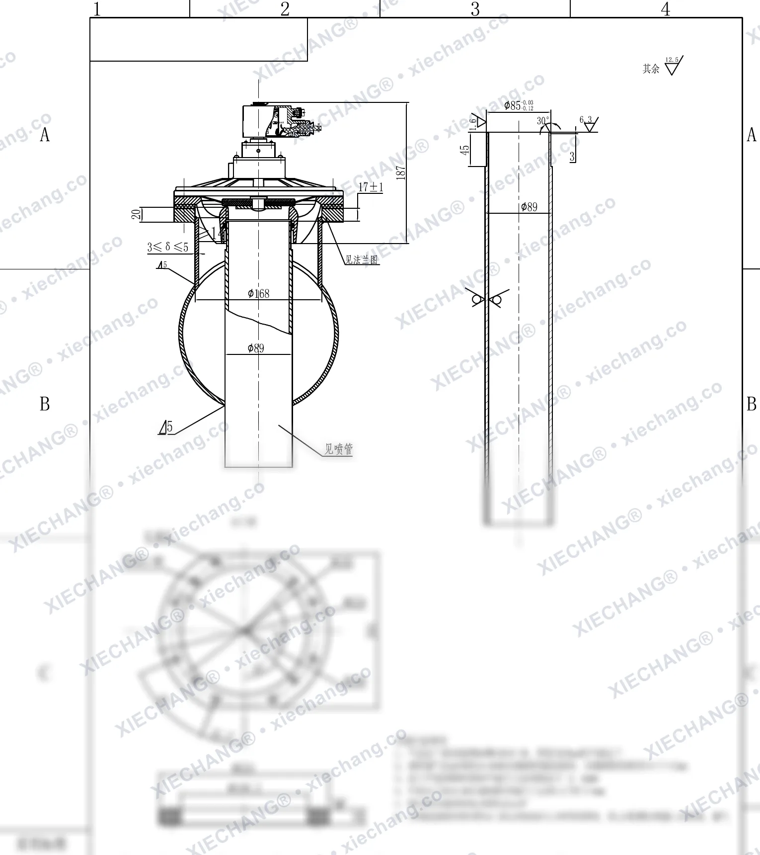 DMY-F-II-80 · DN80 (3") · explosion-proof immersed/submerged pulse valve (with spray pipe / bulkhead flange) — Installation Drawing