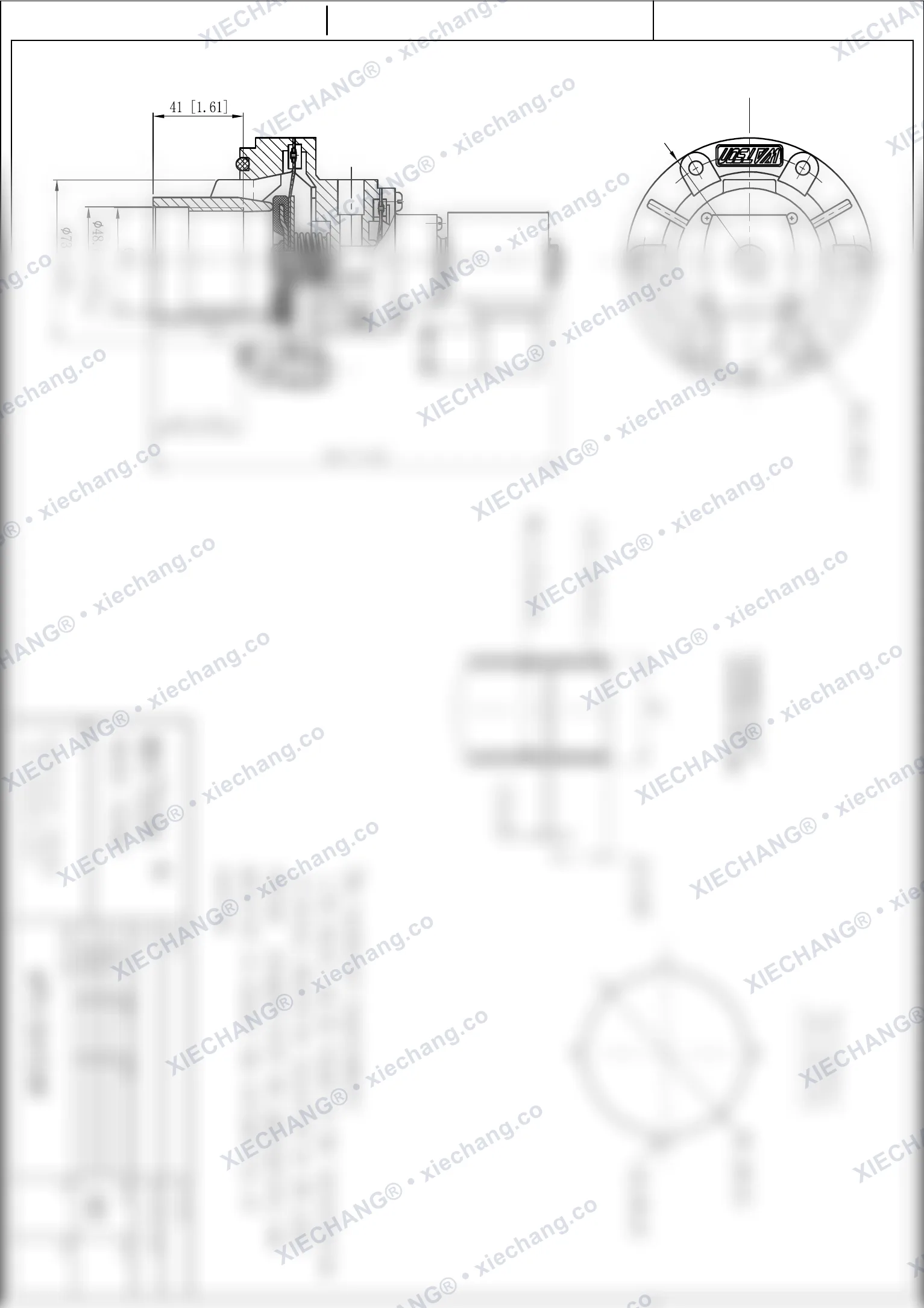 WPS-CA/EG40 · immersed valve — Installation Drawing