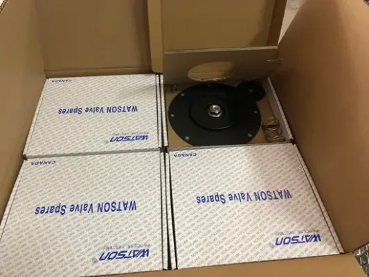 Watson Pulse Valve Diaphragm Repair Kit for Bag Filter | 1 Million Cycles Life | High-Performance Pulse Jet Valve Spares